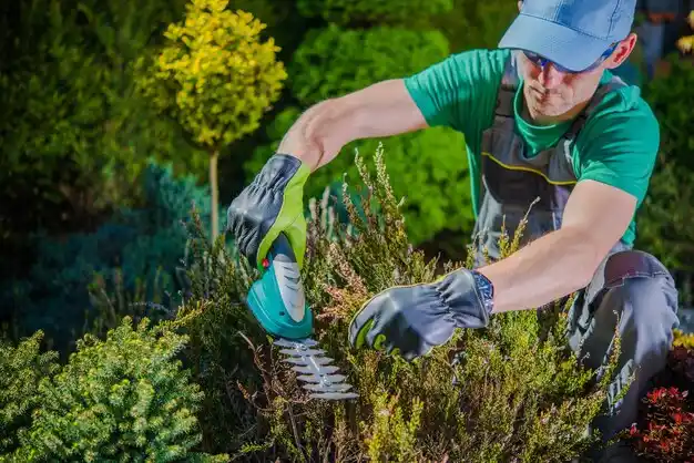 landscaping services Berrien Springs